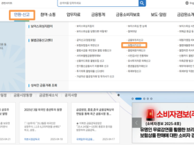금감원, ‘보험사기 특별 신고·포상 기간’ 확대 운영