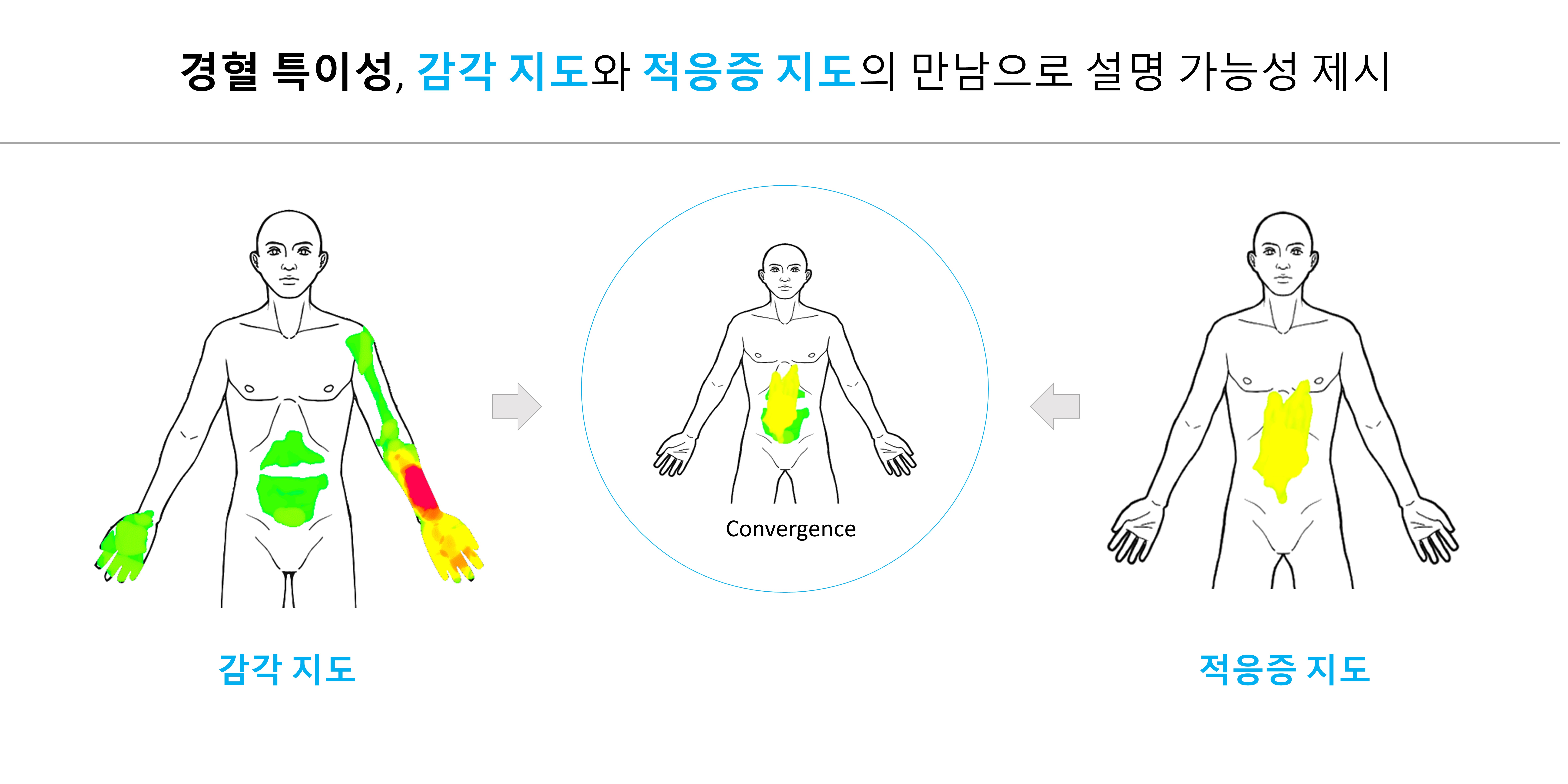 “경혈 특이성, 신체 전반의 연결성·반응 패턴 속에서 이해돼야”