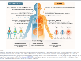 “감정은 마음만의 문제 아냐”…몸의 상태로 읽는 정서 연구 제안