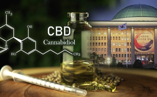 대마, 의약·산업 활용 입법 재개…기능성 성분 CBD 중심 재분류 추진