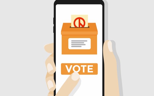 대한한의사협회 회원투표 일정 공고