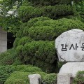 감사원 “의과대학 정원은 증원···전임교원 채용은 부족”