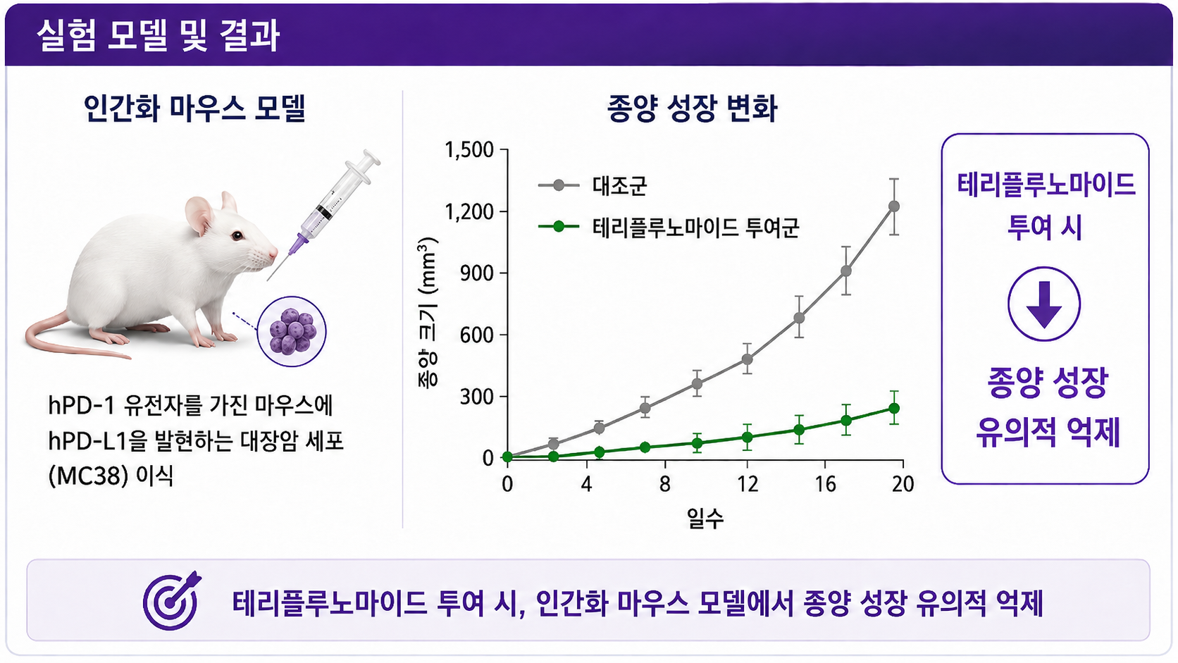 실험모델 및 결과 이미지.png