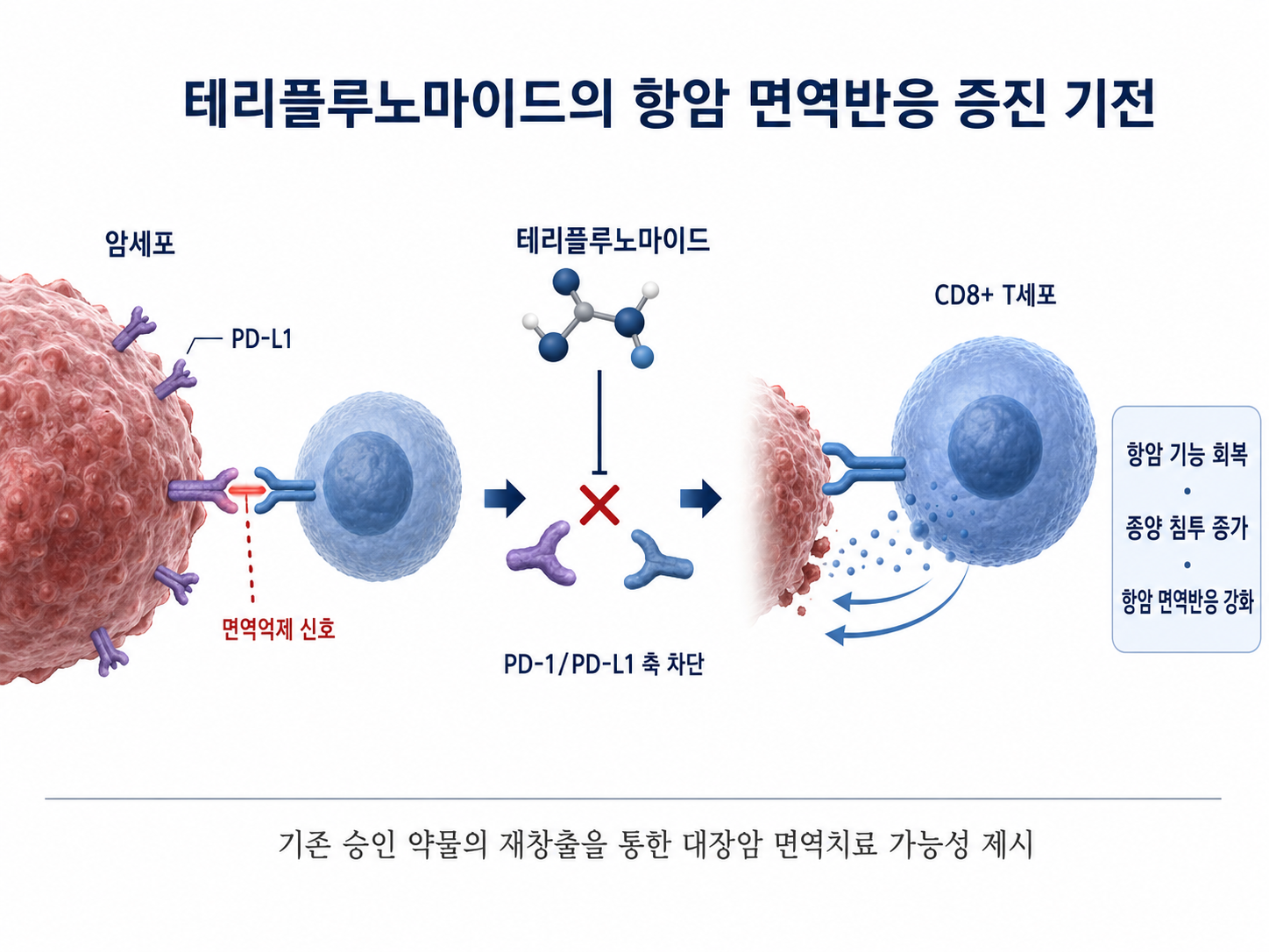 면역관문 조절 기전 이미지_1.png