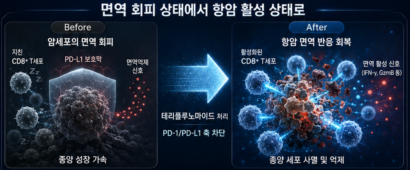 면역관문 조절 기전 이미지_2.png