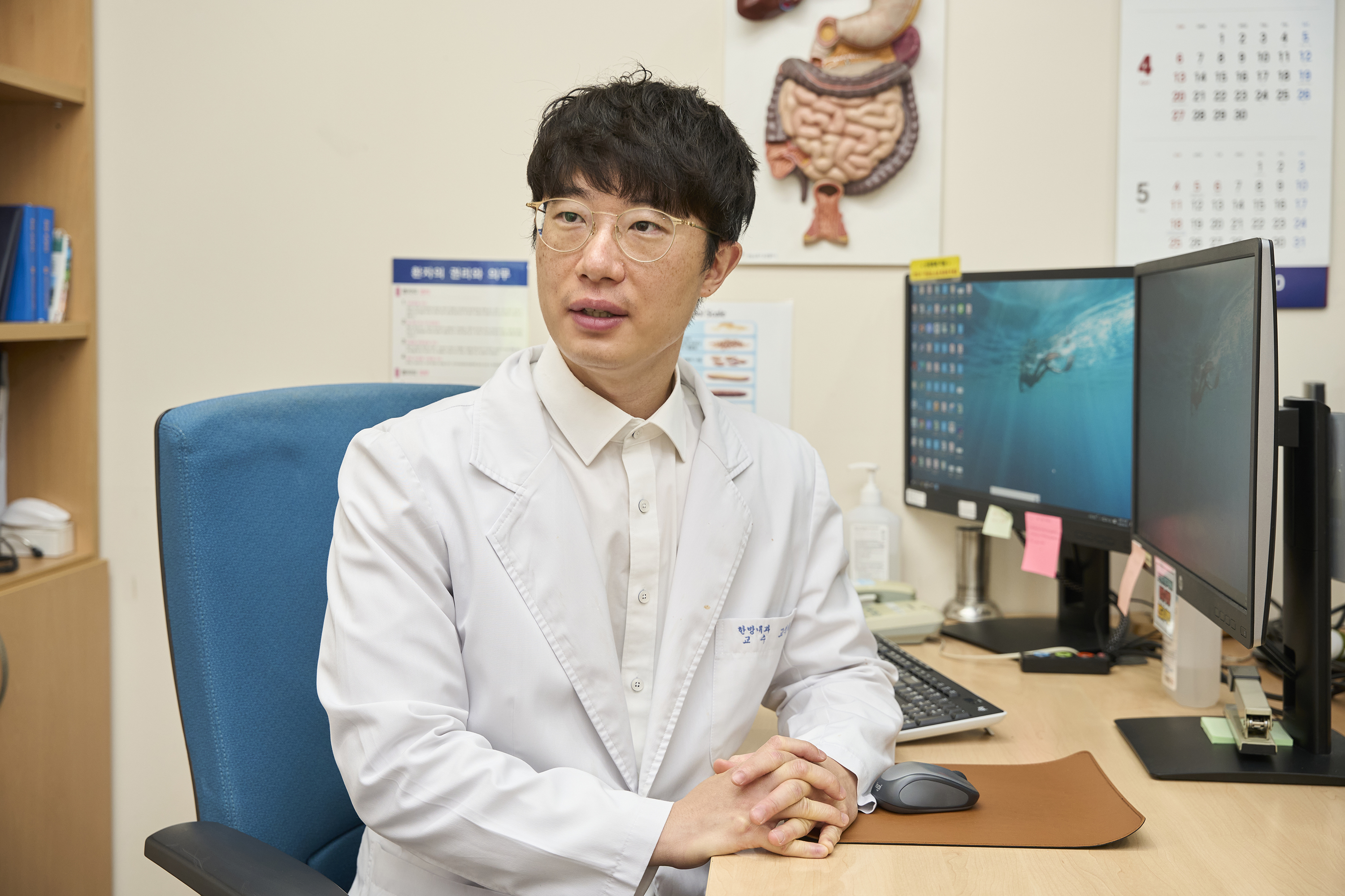 반하사심탕, 과민성 대장증후군 장내 염증 조절 확인