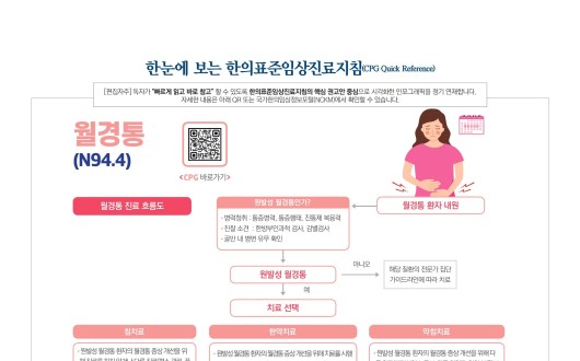 한눈에 보는 한의표준임상진료지침 -월경통-