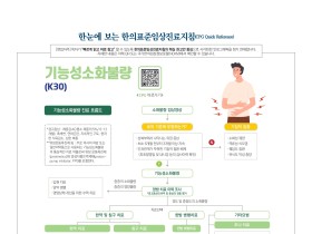 한눈에 보는 한의표준임상진료지침 - 기능성소화불량