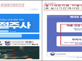 보건복지부, 재생의료 거짓 과대광고 246건 적발