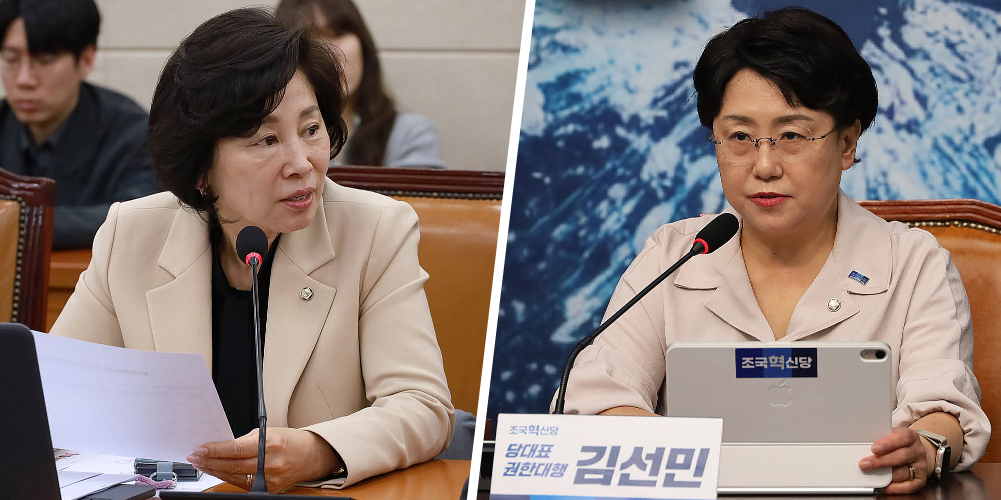 자동차손배법 개정안.jpg