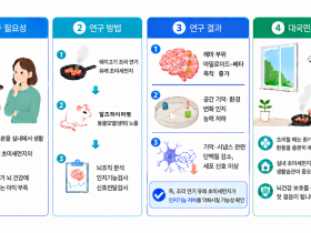환기 안 하고 요리했다간…뇌 건강 빨간불