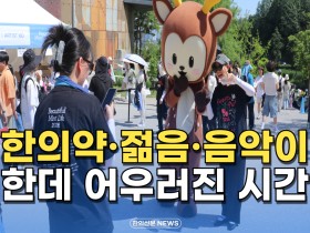 [자막뉴스] 한의약·젊음·음악이 한데 어우러진 시간