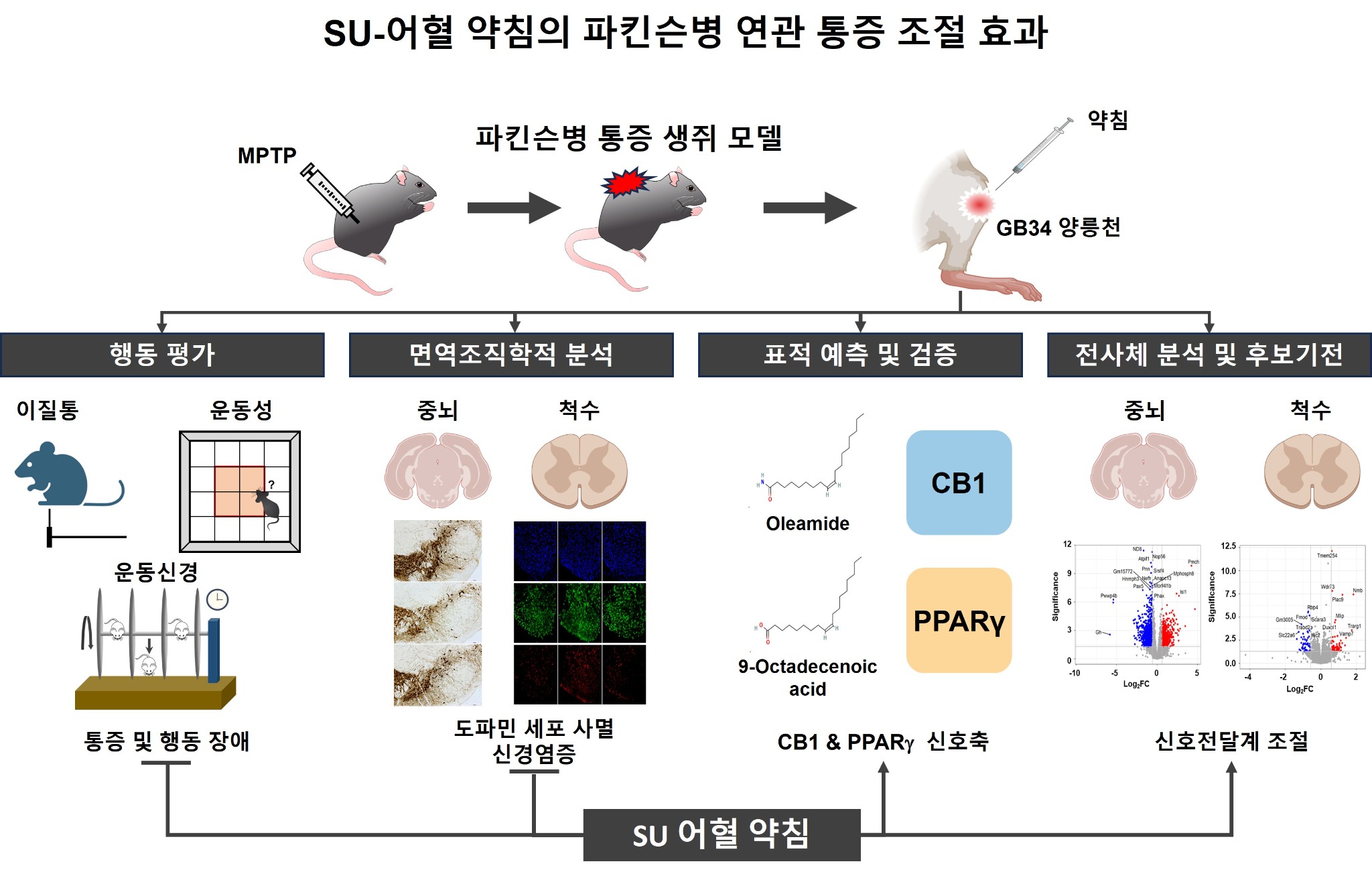 모식도 이미지.jpg