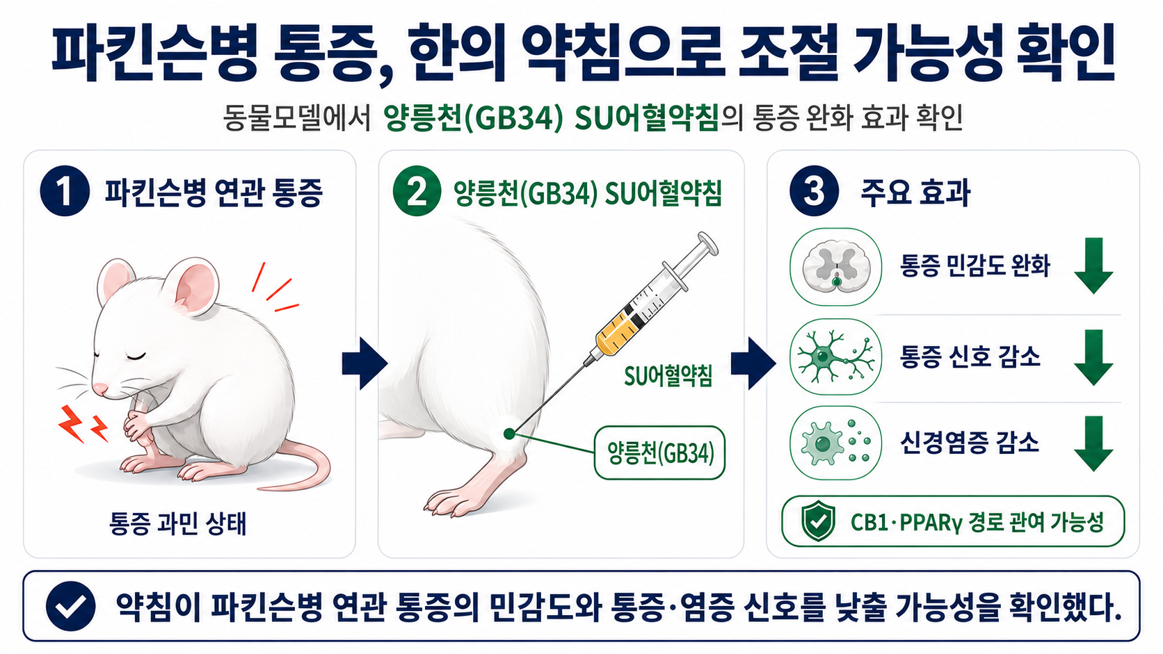 요약 모식도.png