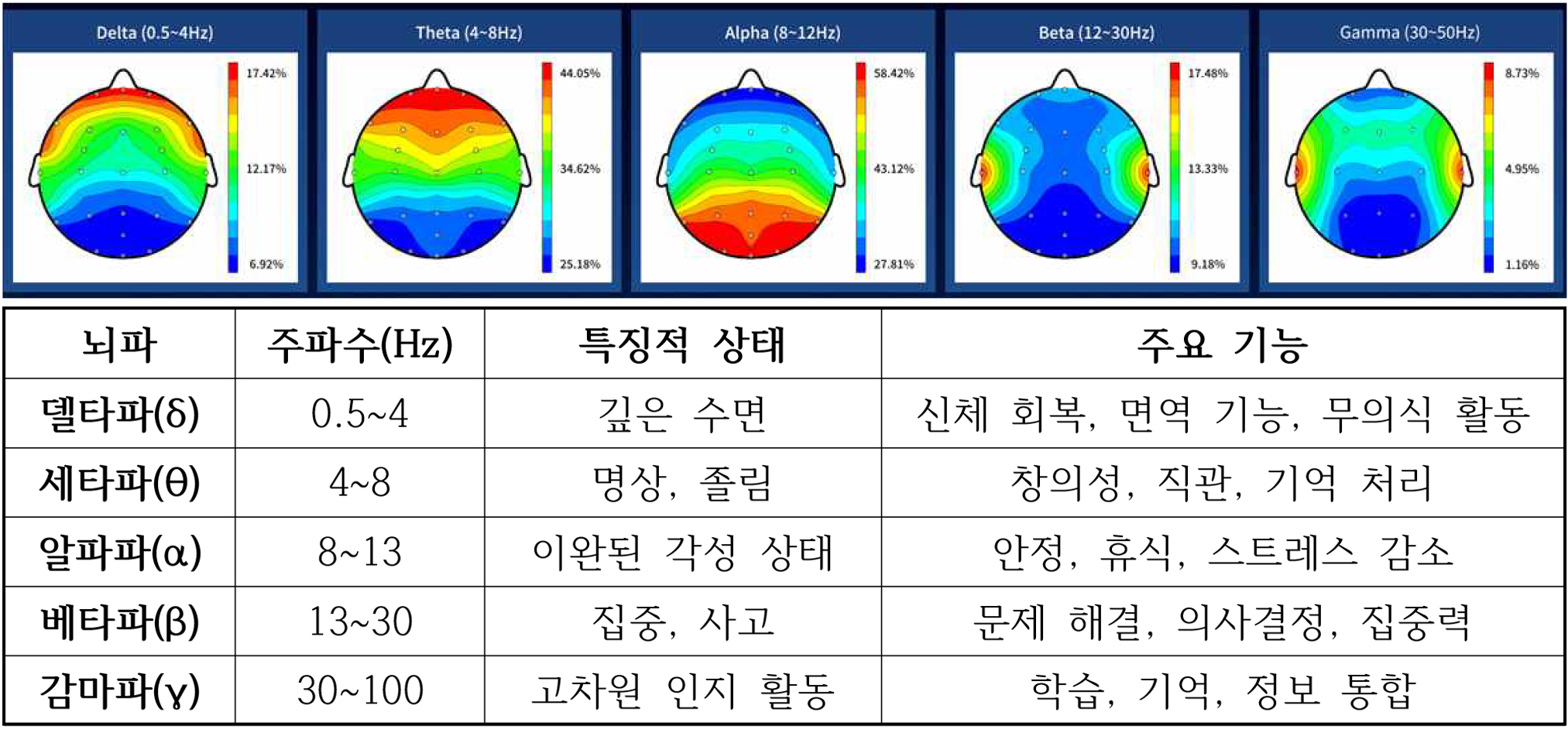 뇌파계 기고문2 (1).jpg
