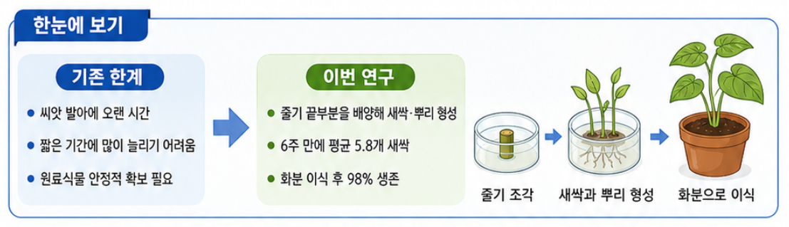 세신2.png