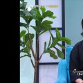 대구한의대한방병원 김경순 교수, 암 치료 전‧후 한의치료 역할 소개