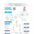 한눈에 보는 한의표준임상진료지침 - 족관절염좌