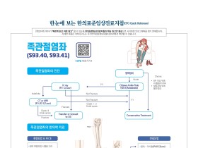 한눈에 보는 한의표준임상진료지침 - 족관절염좌