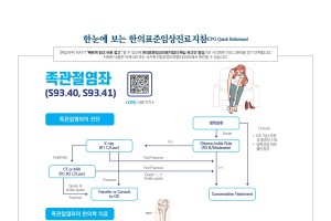 한눈에 보는 한의표준임상진료지침 - 족관절염좌