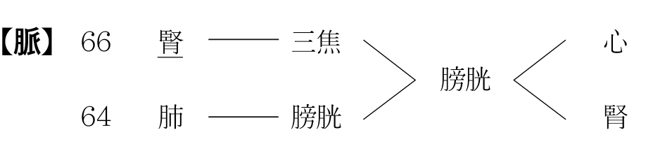 2554-22 전나무-1.jpg