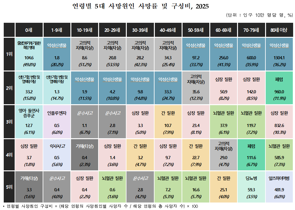 사망 원인.png