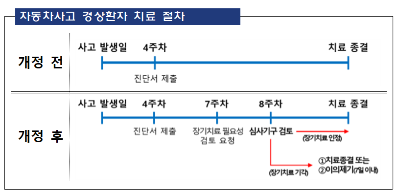 자동차사고 경상환자, 8주 초과 치료시 검토절차 도입