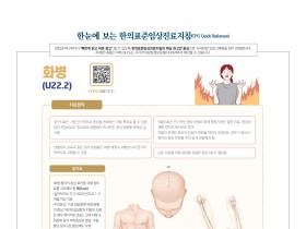 한눈에 보는 한의임상진료지침 - 화병