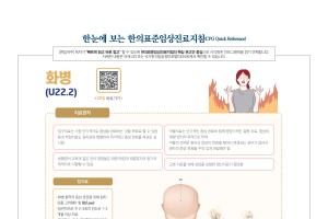 한눈에 보는 한의임상진료지침 - 화병