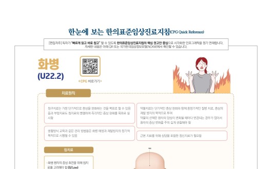 한눈에 보는 한의임상진료지침 - 화병
