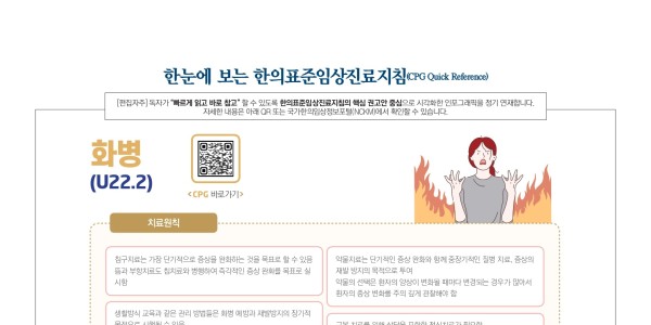 한눈에 보는 한의임상진료지침 - 화병