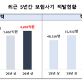 올 상반기 보험사기 적발금액 6200억원…전년동기 대비 9.1%↑