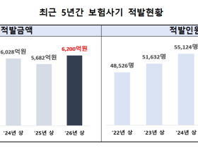 올 상반기 보험사기 적발금액 6200억원…전년동기 대비 9.1%↑