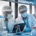 삐뚤어진 천연물 신약의 꿈…제넨셀, 불공정 R&D·주식거래 의혹 확산