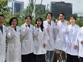 KIOM, ‘연교 추출물’ 대장염에 따른 장·뇌 염증 완화 확인