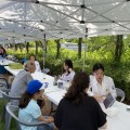 강남구한의사회, ‘강남구 온가족 어울림 페스타’서 의료봉사