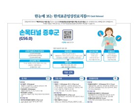 한눈에 보는 한의표준임상진료지침 - 손목터널 증후군