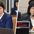 “의료용 대마 상용화, 안전관리부터”…‘국가 원료관리센터’ 설치 촉구