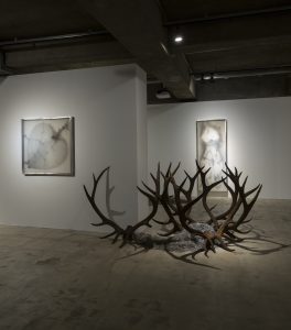 이순종개인전_백만대군_전시전경4